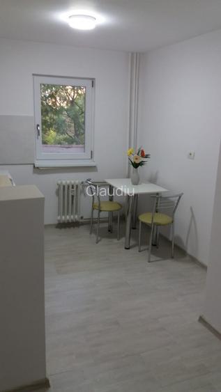 Inchiriez apartament renovat cu 2 camere decomandate - strada Paltinis - 8