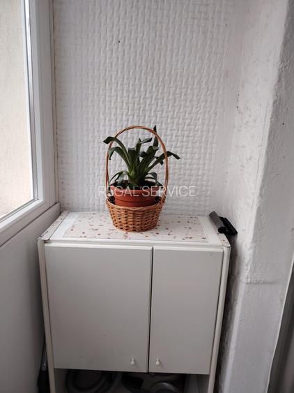 TINERETULUI-FACULTATI - 11