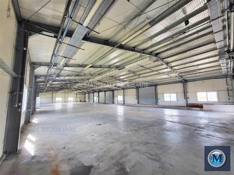 Spatiu industrial de inchiriat, zona Exterior Vest, 1026 mp #16461 - 4