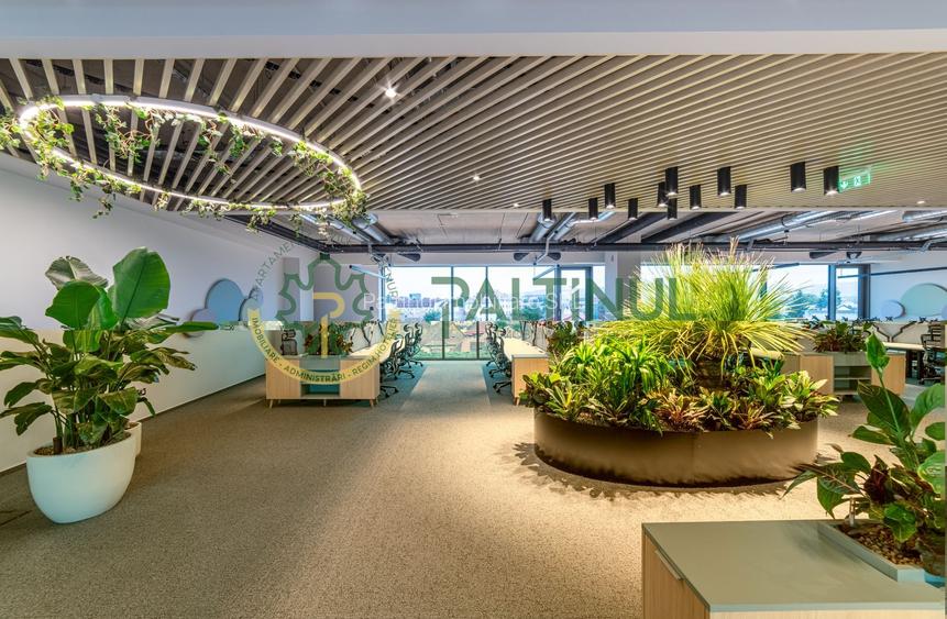 Spațiu de birouri  727 mp clasa A++ de închiriat în Sibiu - 11