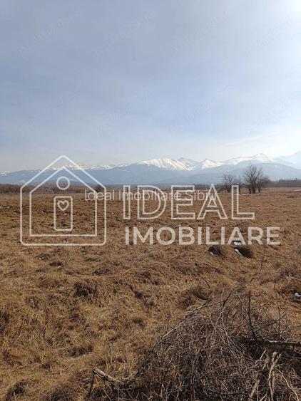 Teren 25.500 mp Valea Avrigului - 3