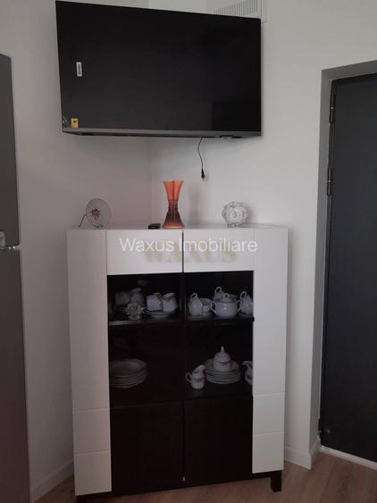 Apartament de inchiriat Calea moldovei,2 camere,etaj 2,Lux - 6