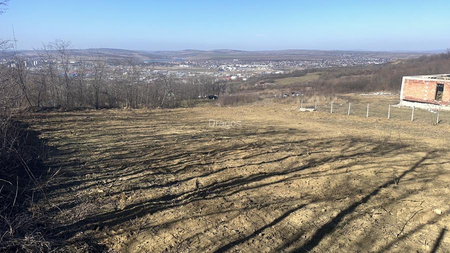 Teren interval Vladiceni  - 2