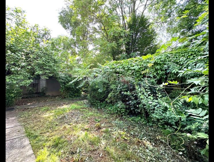 Vila zona Kiseleff - 4