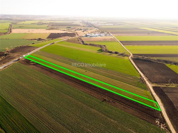 RECO teren 5000mp cu dechidere la DN19 Tamaseu - 5