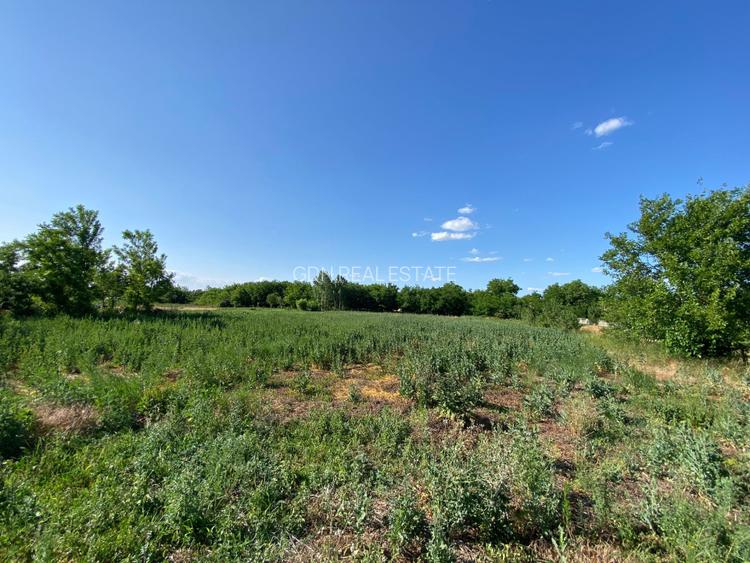 Casă de vacanță , 2 cam, teren 3.381 mp - 20