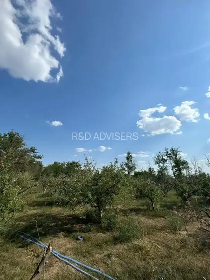 Casă cu 5 camere | Pivniță și Livada | Aproape de București | - 9