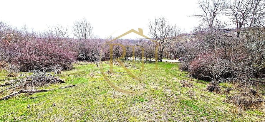 Terenuri extravilane de vânzare – Vizma & Crivobara, comuna Secaș, jud. Timiș - 2