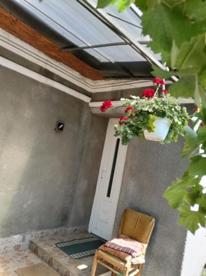 Casă 60 mp utili, teren 1.400 mp | Borșa (Răscruci), Cluj