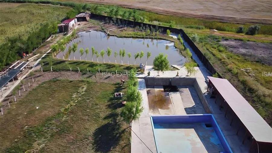 Proprietate deosebita de vanzare | Casa, 13.200 mp teren, doua iazuri cu peste | - 5