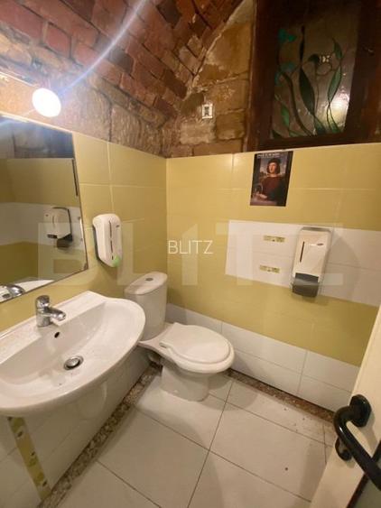 Casa cu 8 camere, 315 mp utili, pentru clinica, birou sau local, ultracentral! - 10