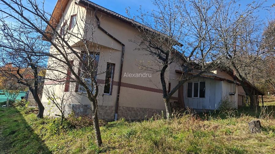 Proprietar vila Câmpulung Muscel str Dracesti 34 colt str Plaiesi - 5