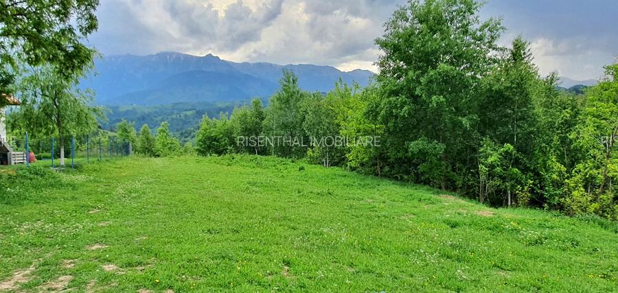 Teren pentru casa de vacanta , Pestera , Brasov - 13