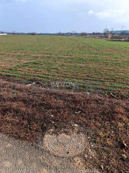 Dragomiresti Valea - Langa Centura, teren 31.200 mp, 35E/mp - 6