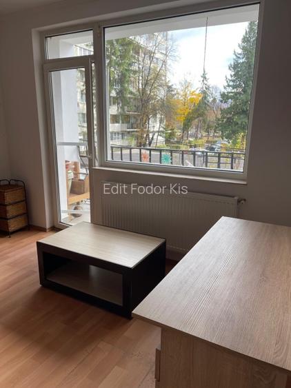 Studio renovat in Grigorescu, luminos, bloc nou, direct proprietar - 5