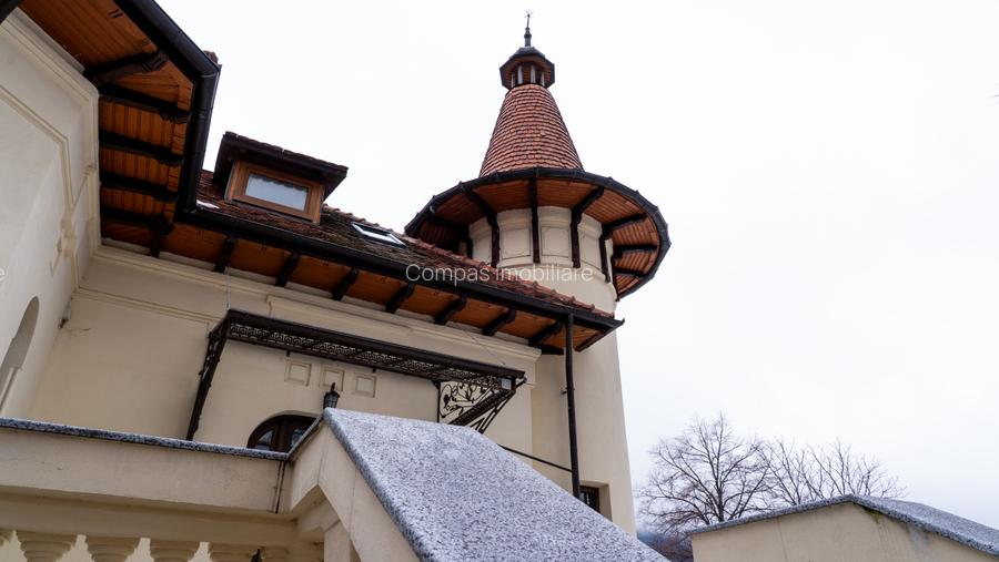 Domeniu fabulos zona Varatec - 4