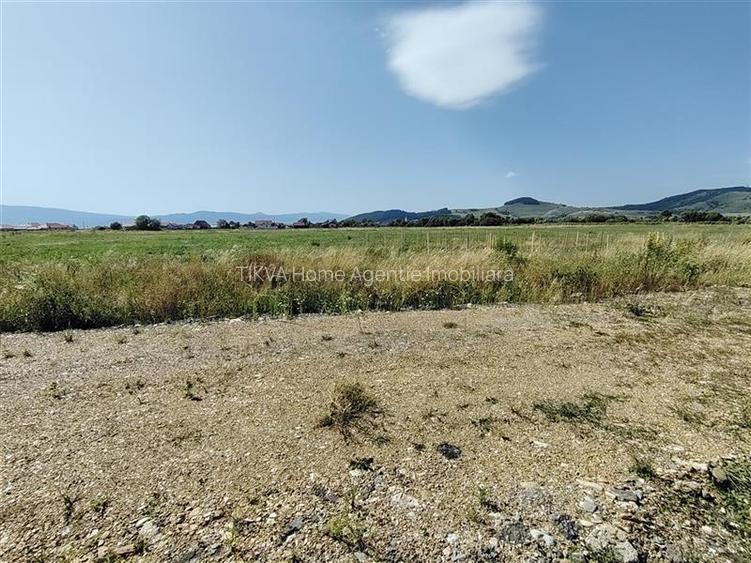 Case familiale noi, in faza de constructie si de proiect in Lazarea, jud. Harghi - 19