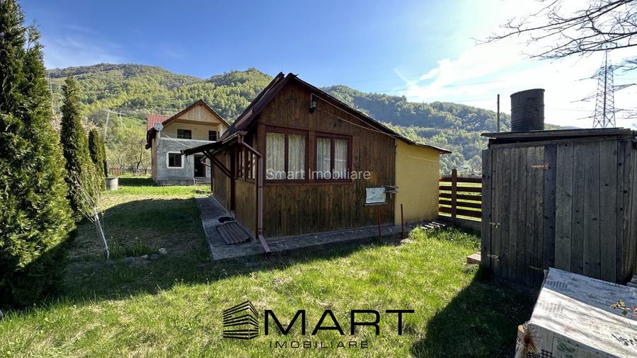 Casa cu teren langa rau Lotrioara - 7