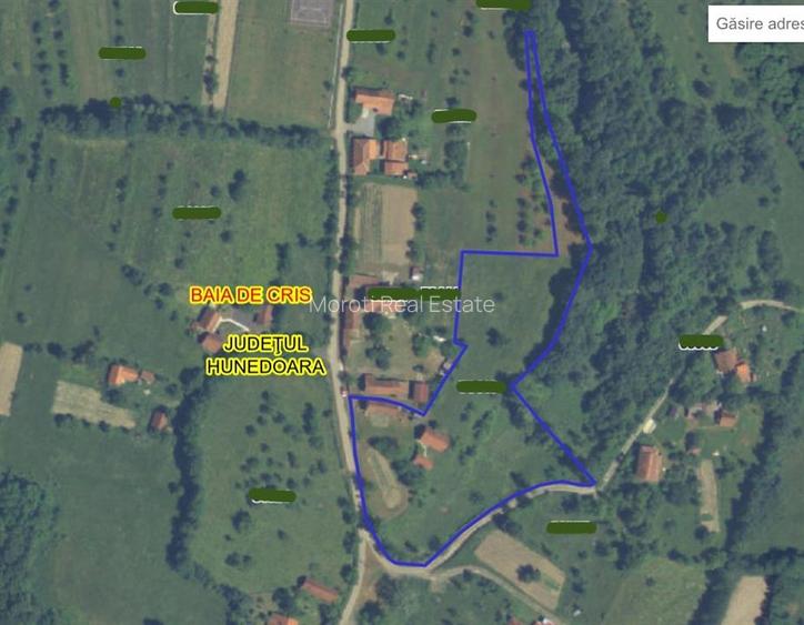 10 000 mp teren intravilan cu priveliste - 20