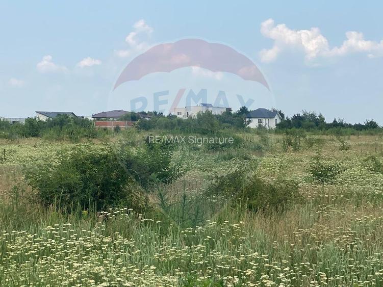 DE VANZARE Teren intravilan 600mp Drumul Piscul Mosului SISESTI - 14