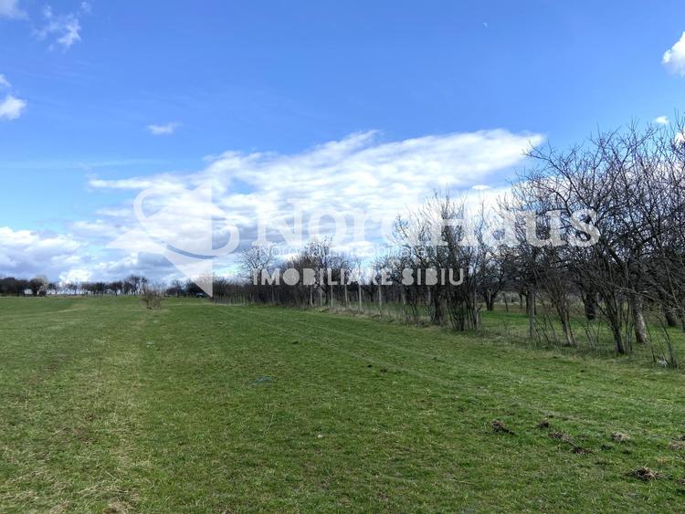 Teren Extravilan Rasinari 3500 mp - Zona deosebita - 3