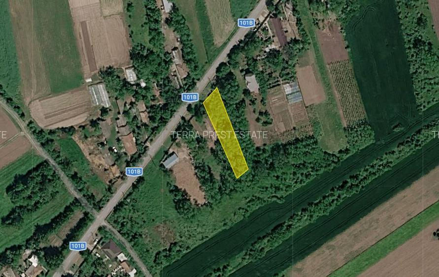15000 euro pentru 900 mp! Intravilan Nuci, sat Merii Petchii - 8