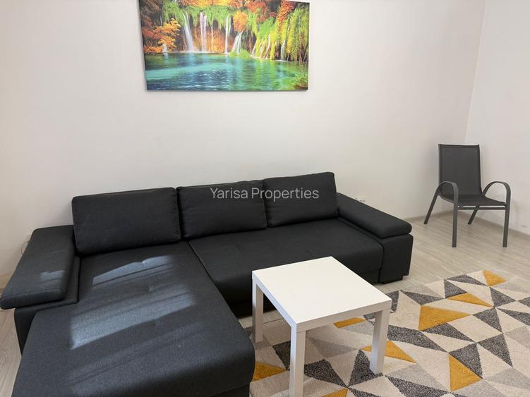 Apartament 2 camere de inchiriat TINERETULUI* - 2