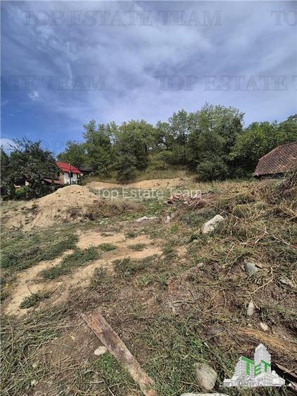 Teren intravilan pentru investitie turistica, 4000 mp, langa Club Vila Bran cu p - 5