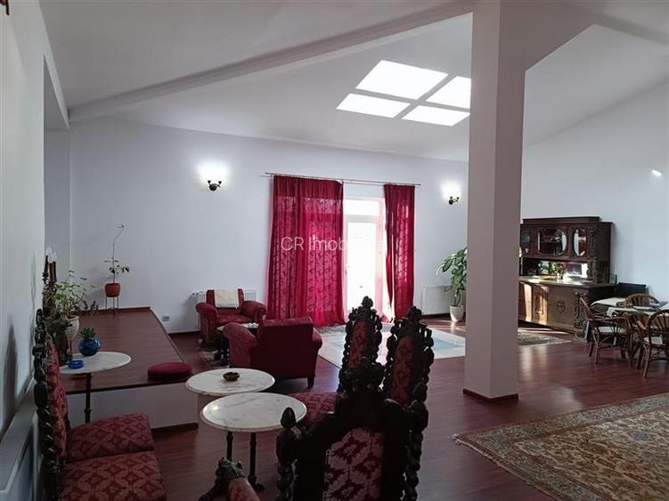 Vila Calea Victoriei Cismigiu - 3