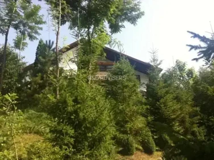 CASA DE VACANTA |  PRAHOVA| PROVITA DE JOS | BREAZA | - 4