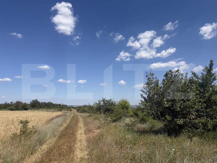 Teren 6291 mp, extravilan, zona Leamna de jos
