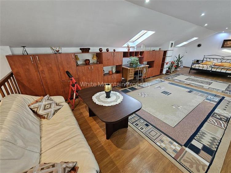 Casa spatioasa de inchiriat Bartolomeu (Curte comuna) - 35