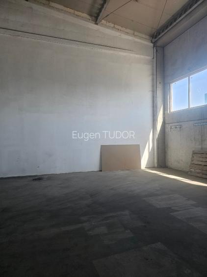 Hala de inchiriat. Depozitare sau productie. - 7