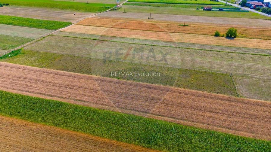 TEREN extravilan- 6 E/MP- CU PLANTATIE DE TRANDAFIRI! Teliu 7000mp - 7