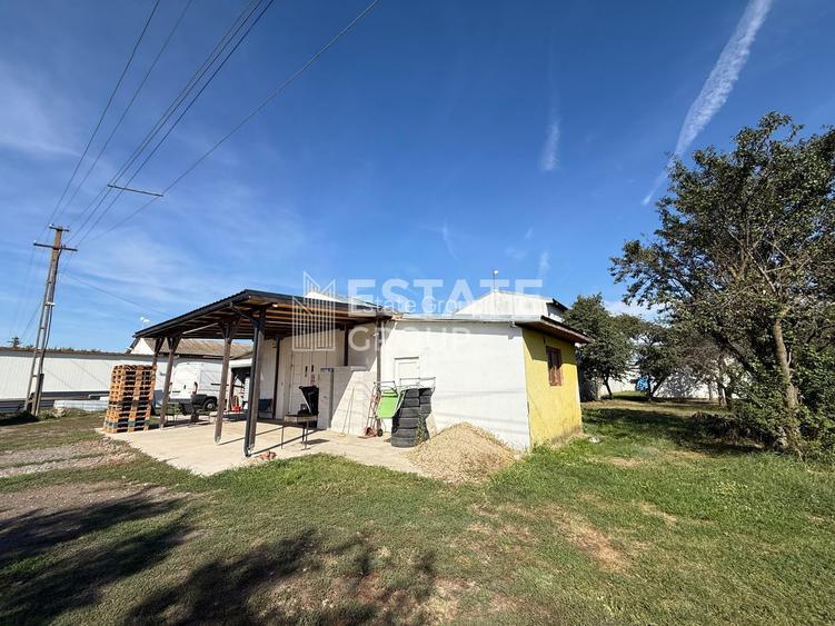 Hala Bucovat pentru productie sau depozitare - 3