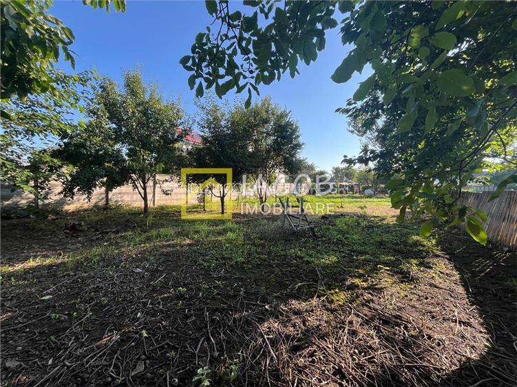 Teren intravilan 1010 mp cu casa batraneasca, magazie, beci, strada Bucegi, Baca - 3