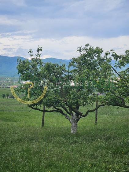 Teren 5.000 mp cu priveliște superbă – Cisnădie, Sibiu - 2