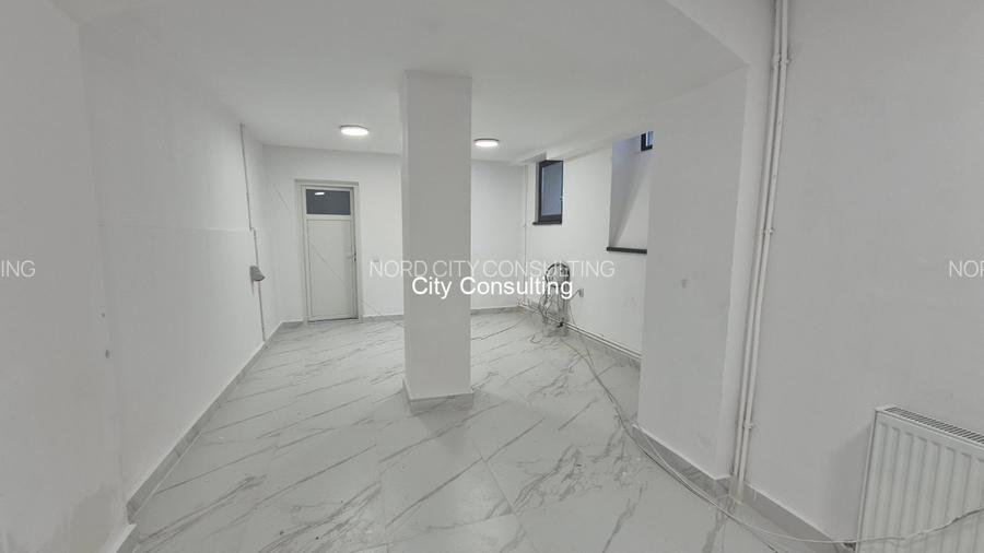 Inchiriere vila reprezentativa Cismigiu Sala Palatului - 5