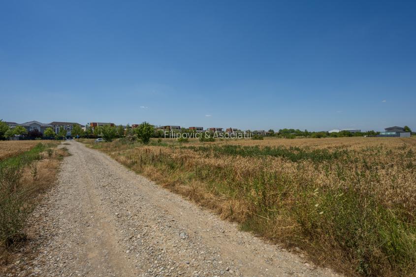 OTOPENI - CARPATILOR, TEREN 1371 MP! - 10
