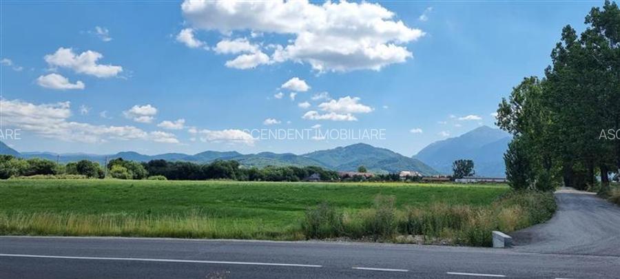 FILM! Parcela imprejmuita,design casa,aviz constructie,1.085 mp,Panicel,Rasnov - 15