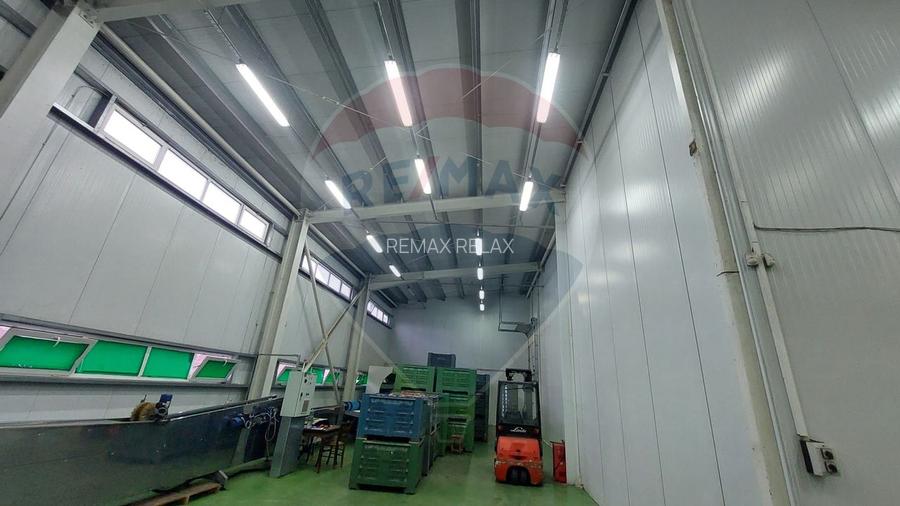 Spațiu industrial de 880mp de vânzare - 41