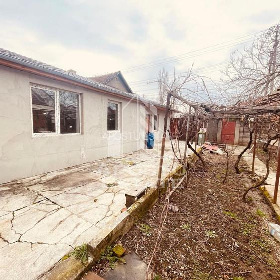 Casa “la gri” cu gradina, zona Calea Aurel Vlaicu - Bujac - 4