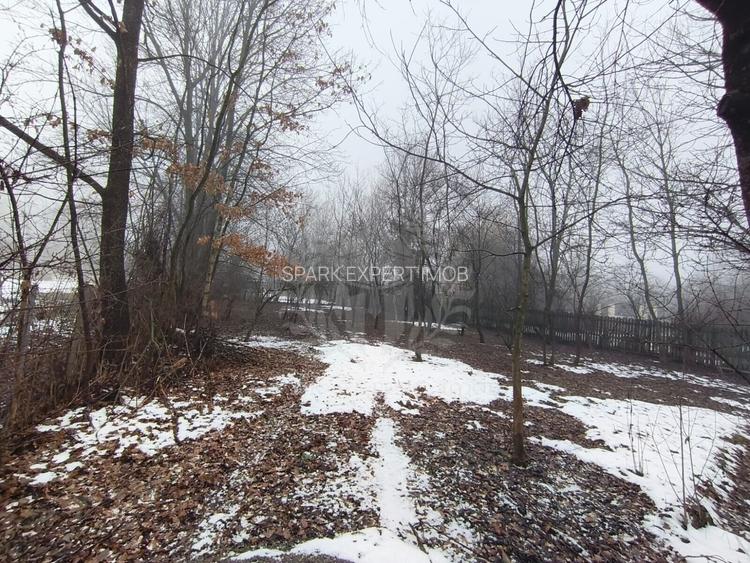 TEREN INTRAVILAN\\CORNU DE JOS - 2