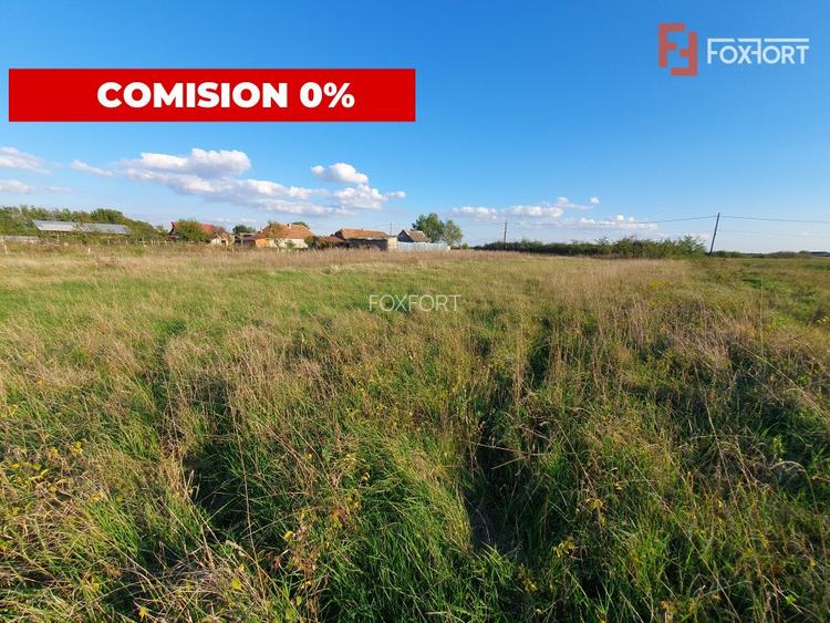 Teren intravilan de 3346 mp cu 2 fronturi - Jebel - 6