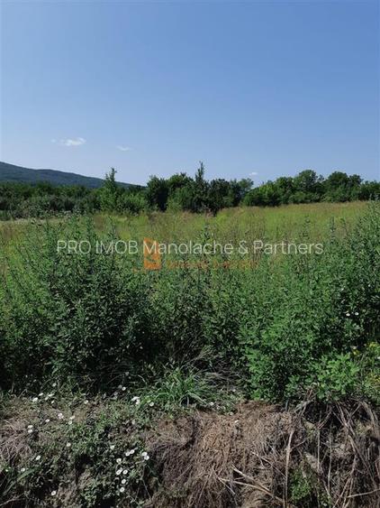 Teren intravilan de vanzare in zona Parscov - 3