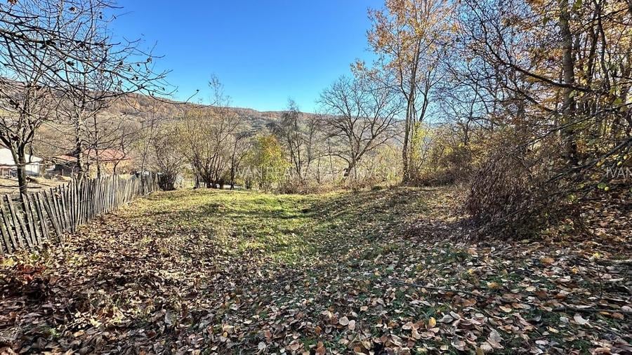 Teren 4044mp, 18 km de Campina, asfalt, utilitati, pretabil investitie - 5