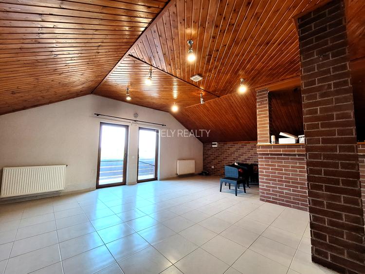 Vanzare vila S + P + 1 + M, Tancabesti , teren: 1.196 mp - 10