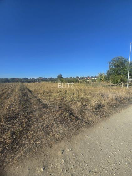 Teren 1000mp ,la intrarea in Filiasi - 2