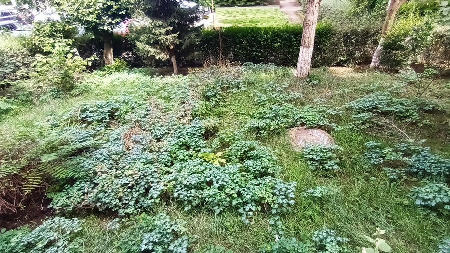 Apartament de 3 camere , 67.5 mp, Parter inalt/4,  str. Lunii- Zorilor - 13