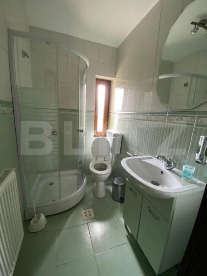 Casa cu potential turistic, 380 mp, FUNDATA - 11